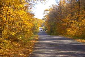 Fall in City of Kawartha Lakes 