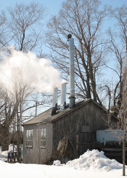 Moores.Maple.Syrup.Shack