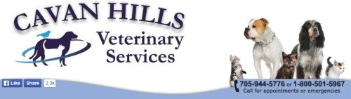 Cavan.Hills.Veterinary.Services.3