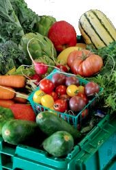 Bethany.Ontario.Blog.Puddle.Duck.Farm.1