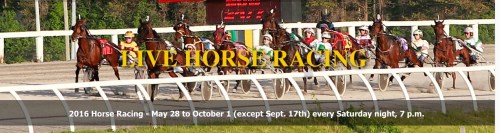 Bethany.Ontario.Blog.Kawartha.Downs.2