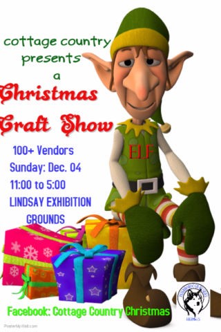 bethany-ontario-blog-christmas-show-3