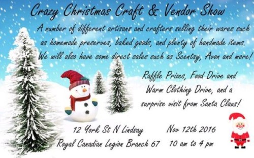 bethany-ontario-blog-christmas-show