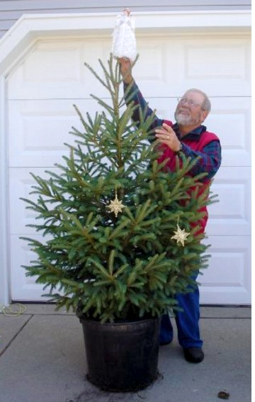 bethany-ontario-blog-christmas-trees