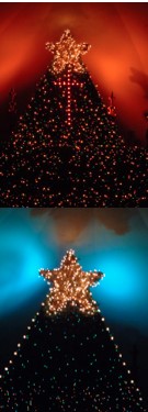 bethany-ontario-blog-st-andrews-tree-2