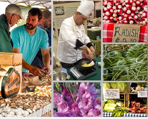 bethany-ontario-blog-farmers-market-2