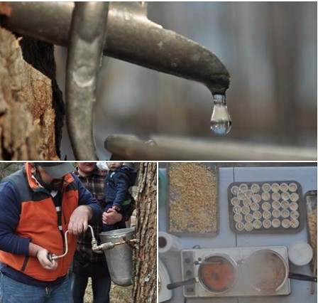 Bethany.Ontario.Blog.March.Break.2017