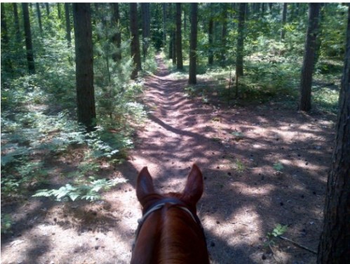 Bethany.Ontario.Blog.Sandaraska.Park.3