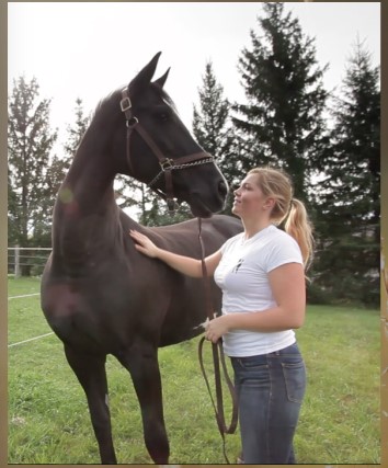 Bethany.Ontario.Blog.Sky.Haven.Equestrian.Centre.2