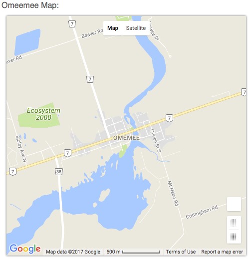 Bethany.Village.Blog.Neil.Young