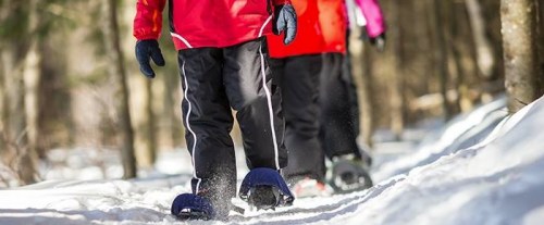 Bethany.Ontario.Blog.Showshoe.1