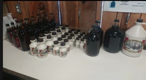 Bethany.Ontario.Blog.Maple.Day.2018.1