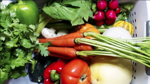 Bethany.Ontario.Blog.Millbrook.Farmers.Market.2