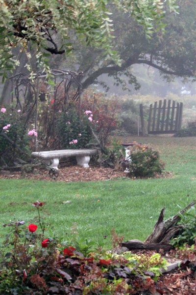 Bethany.Ontario.Blog.Studio.Tour.2018.1