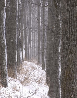 Bethany.Ontario.Blog.Studio.Tour.2018.3