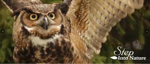 Bethany.Ontario.Blog.Conservation.Areas.2