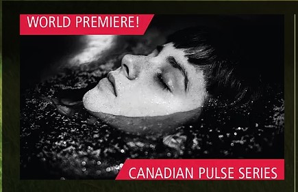 Bethany.Ontario.Blog.4th.Line.Theatre.2