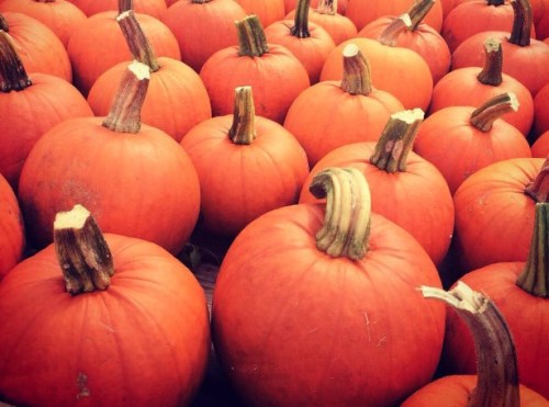 Bethany.Ontario.Blog.Pumpkin.Festival.1