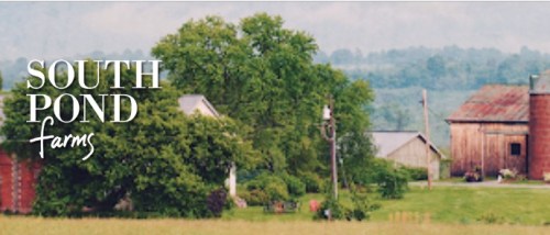 Bethany.Ontario.Blog.South.Pond.Farms.3